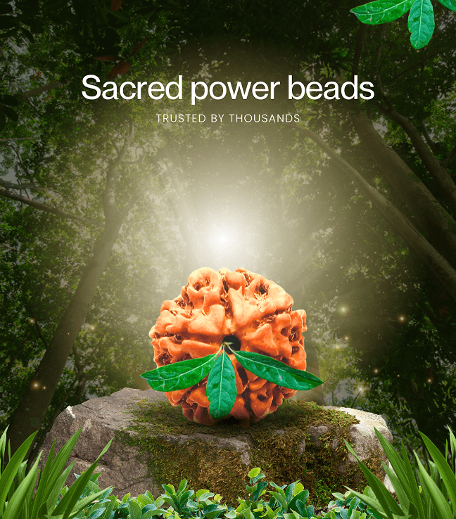 Our Most Loved Products