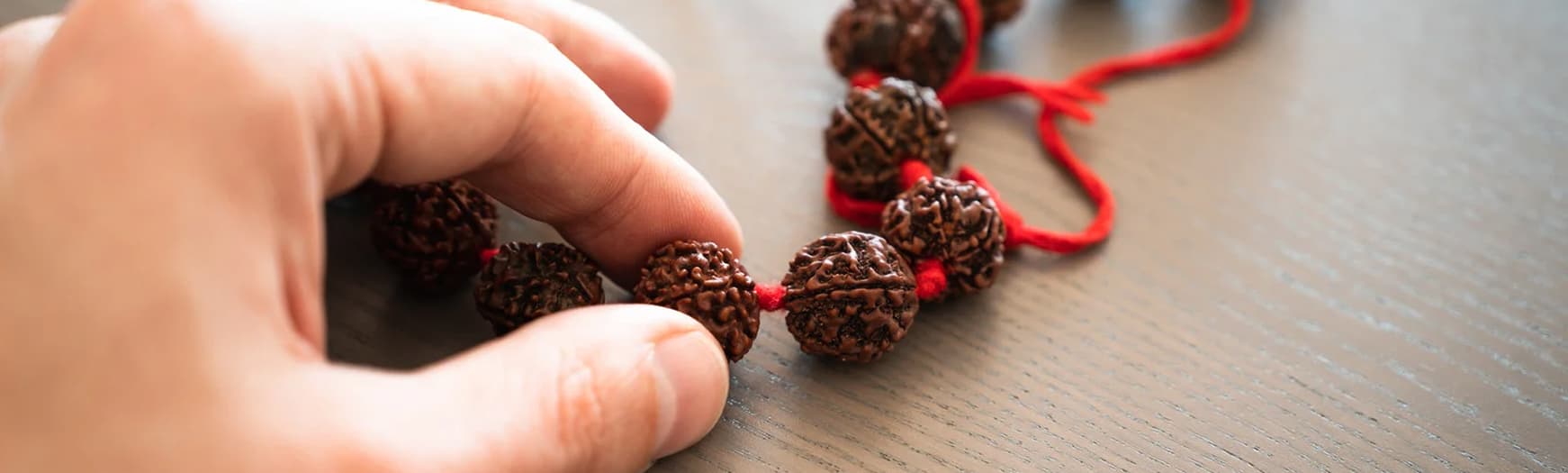 Banner of Rudraksha Collections