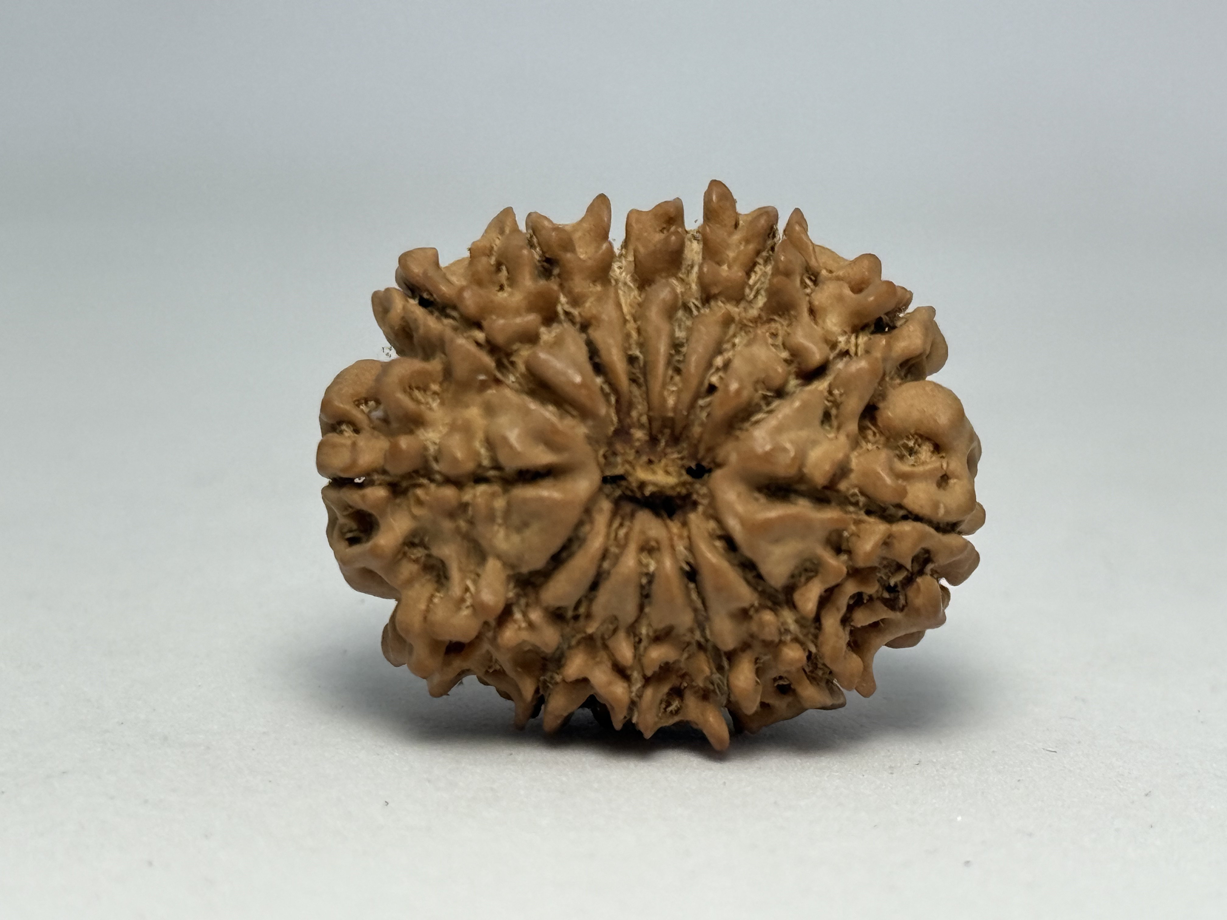 Zoomable Product Image