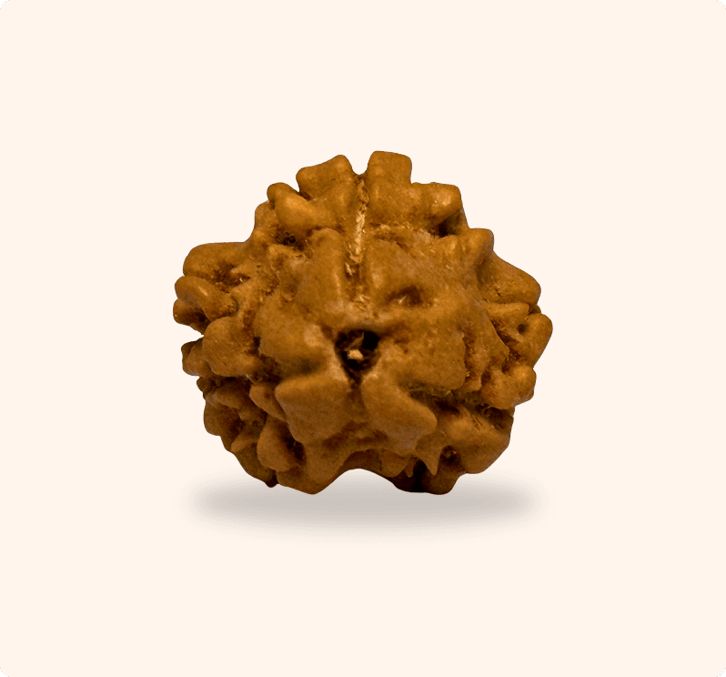 Zoomable Product Image