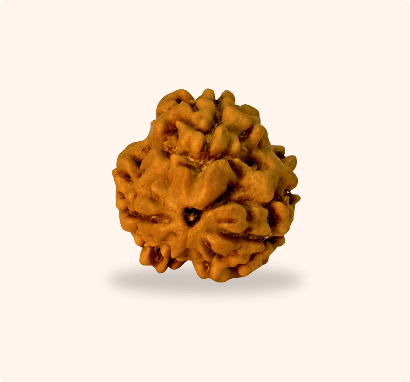 Zoomable Product Image