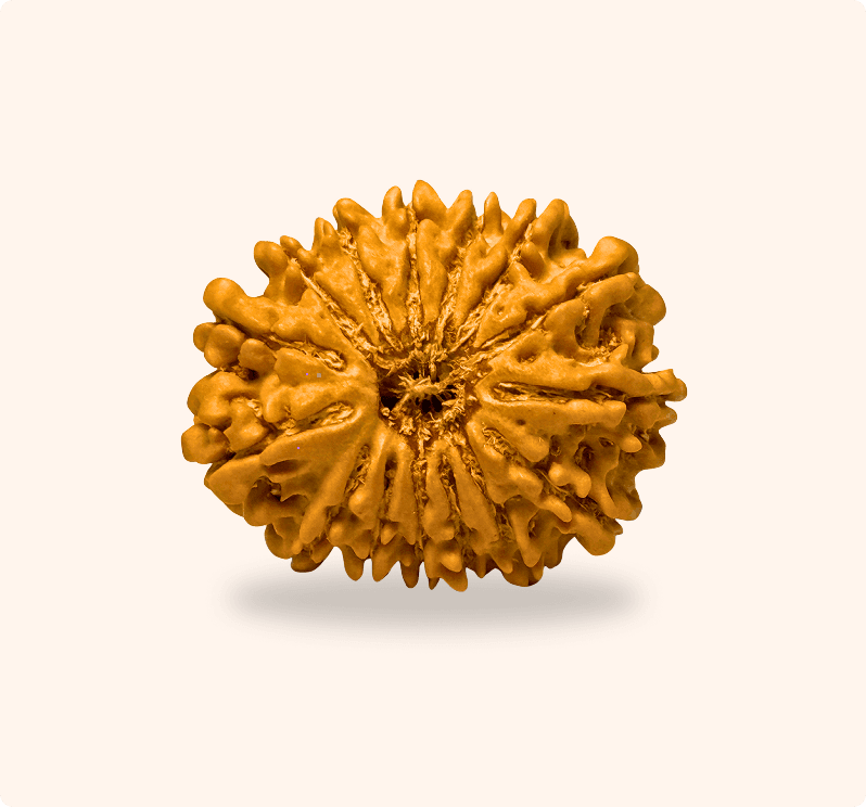 Zoomable Product Image