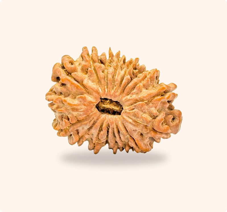 Zoomable Product Image