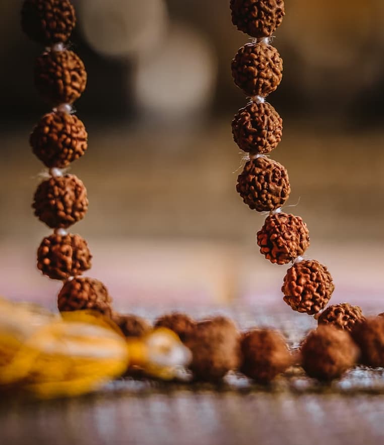 Register Illustration