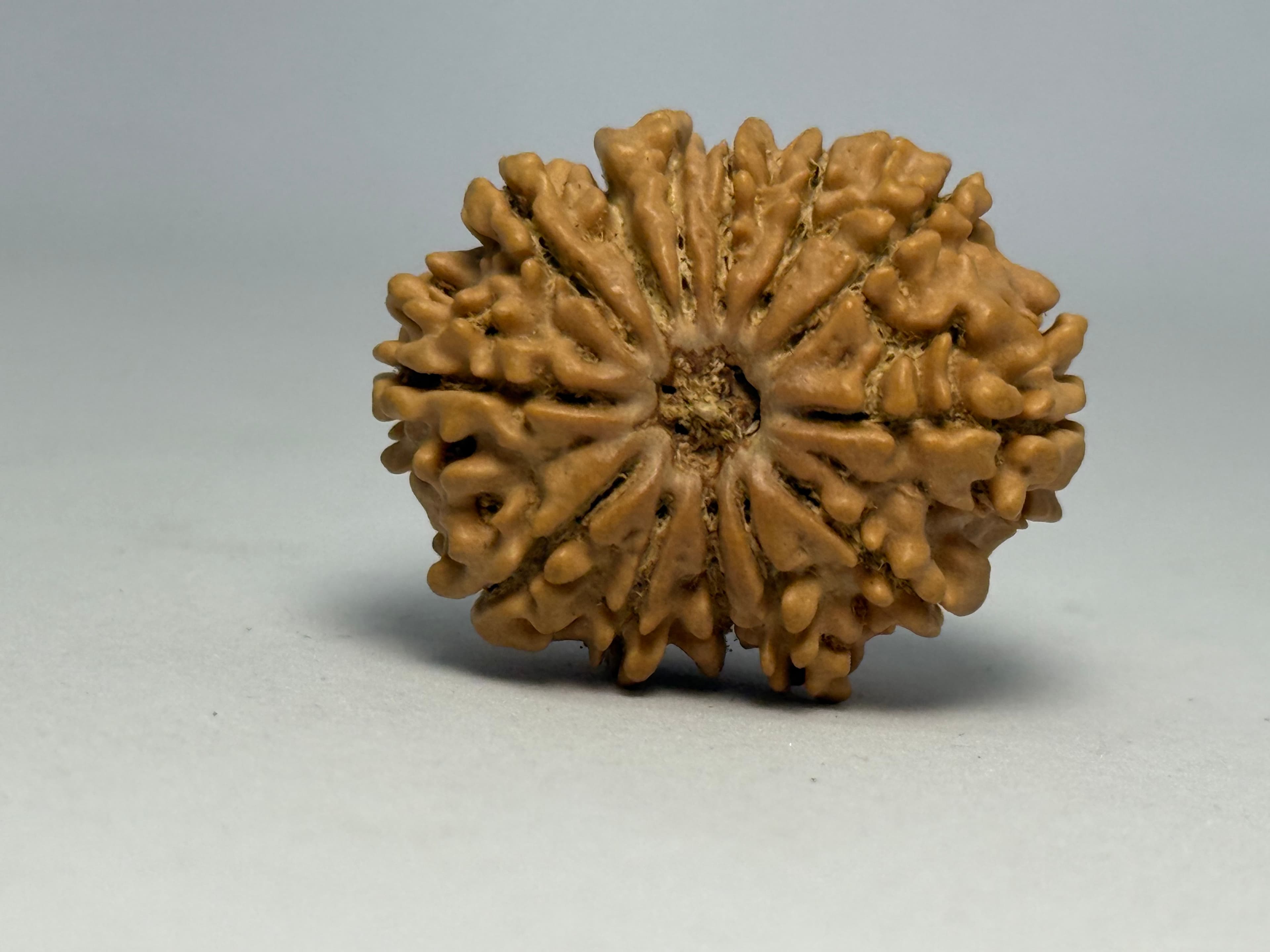 Zoomable Product Image