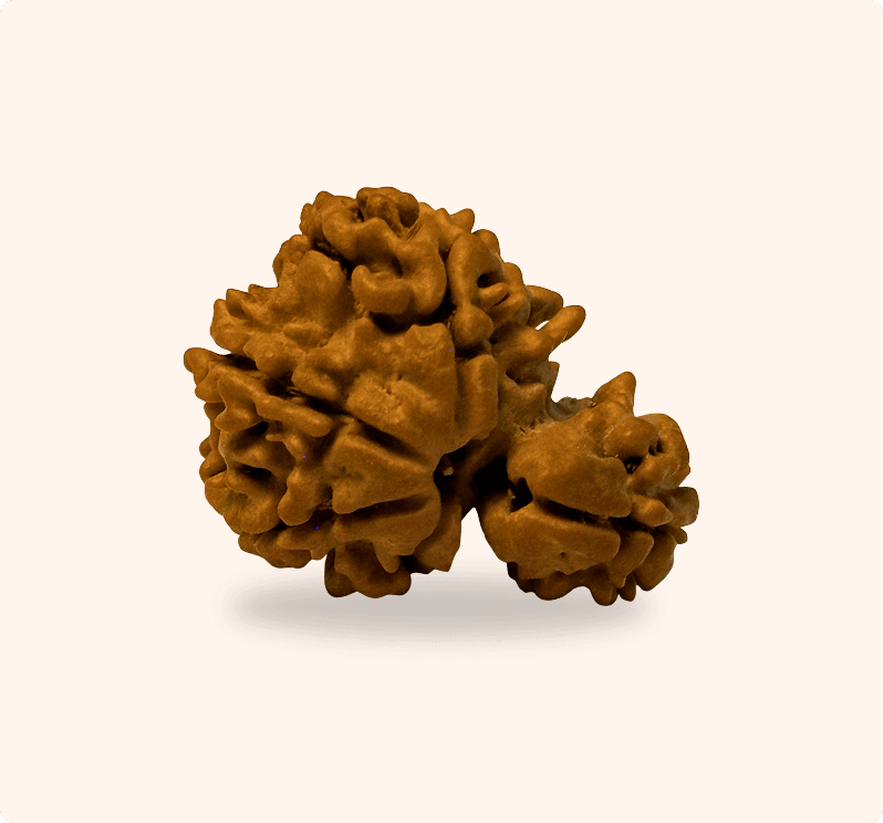 Zoomable Product Image