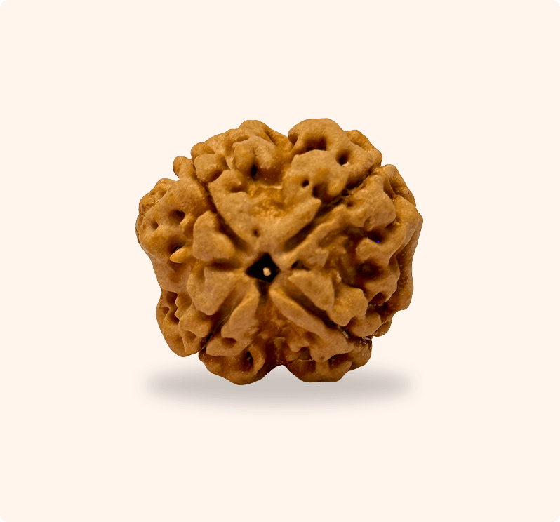 Zoomable Product Image