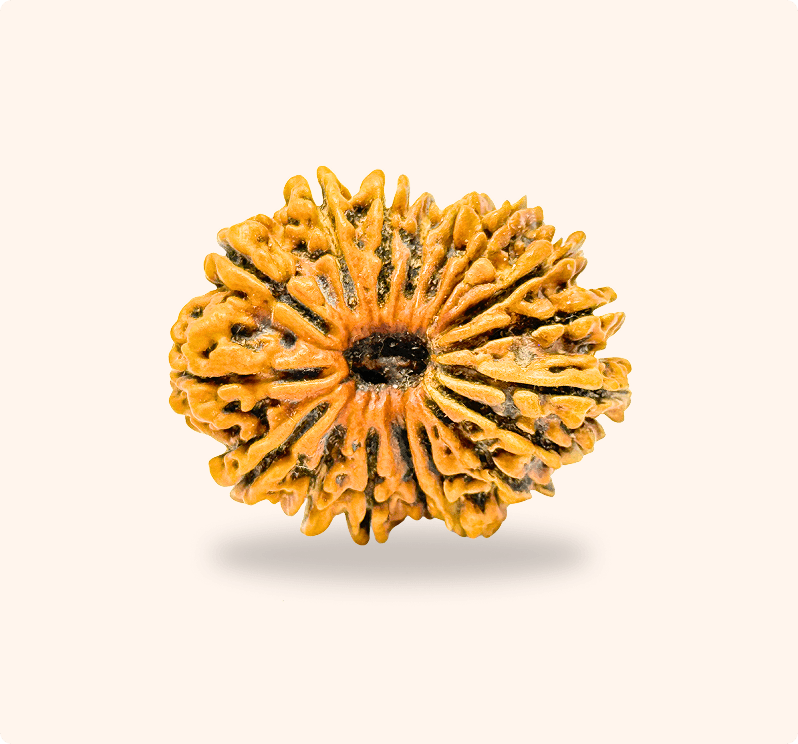 Zoomable Product Image